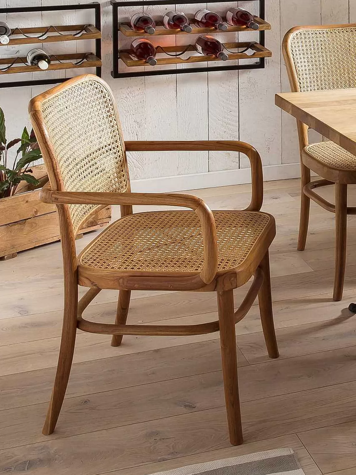 Armlehnstuhl Rattan Teak Braun>mutoni sweet home Sale