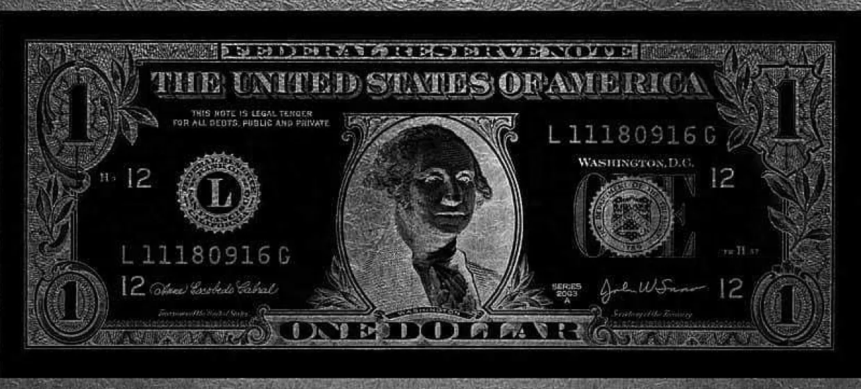 Bild Dollar Washington Silver Glam 90X200>mutoni art Flash Sale