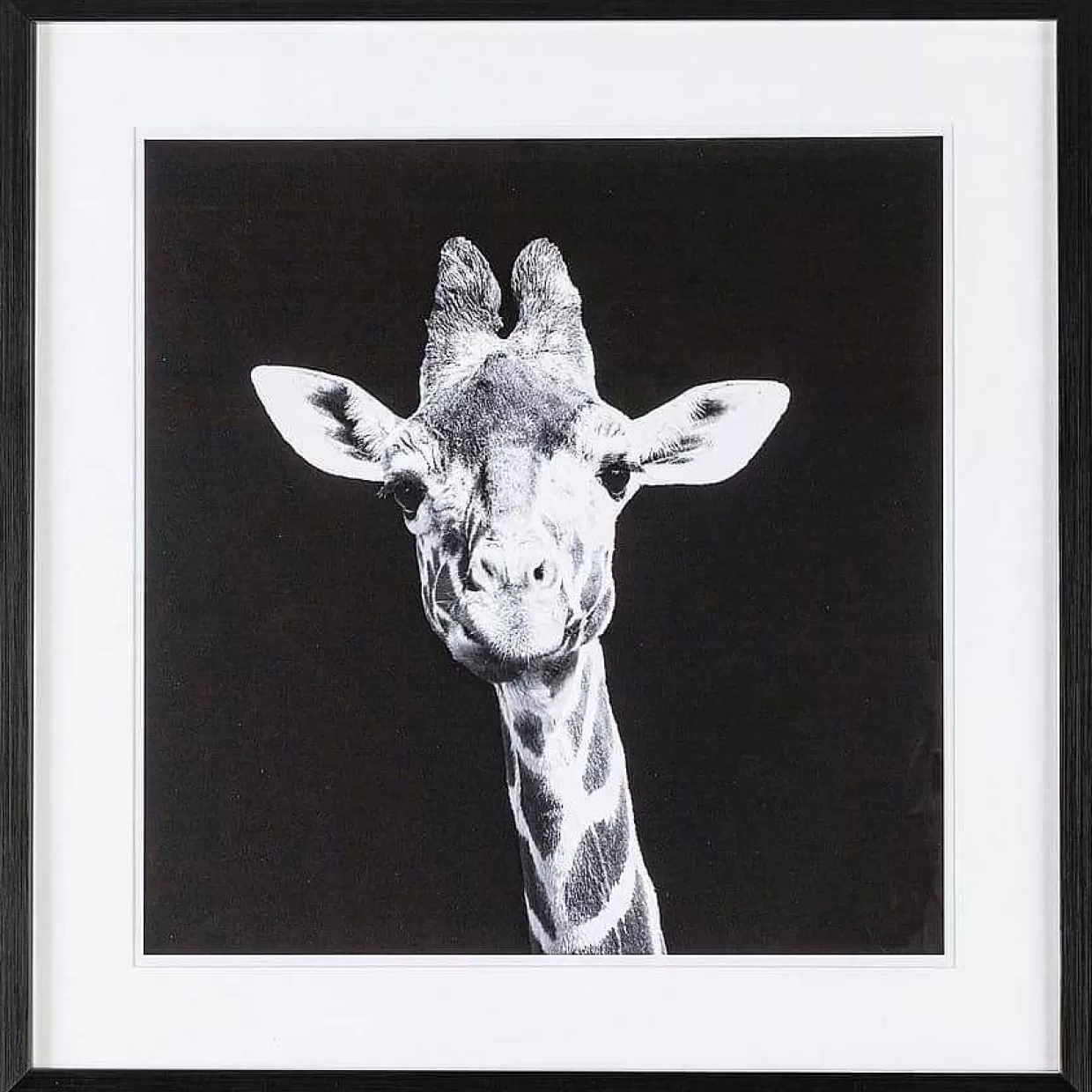 Bild Evidence Giraffe 49X49>mutoni lifestyle Hot