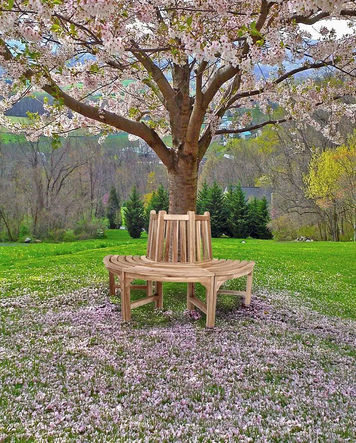 Gartenbank Java Teak Natur 150>mutoni pleasure Clearance