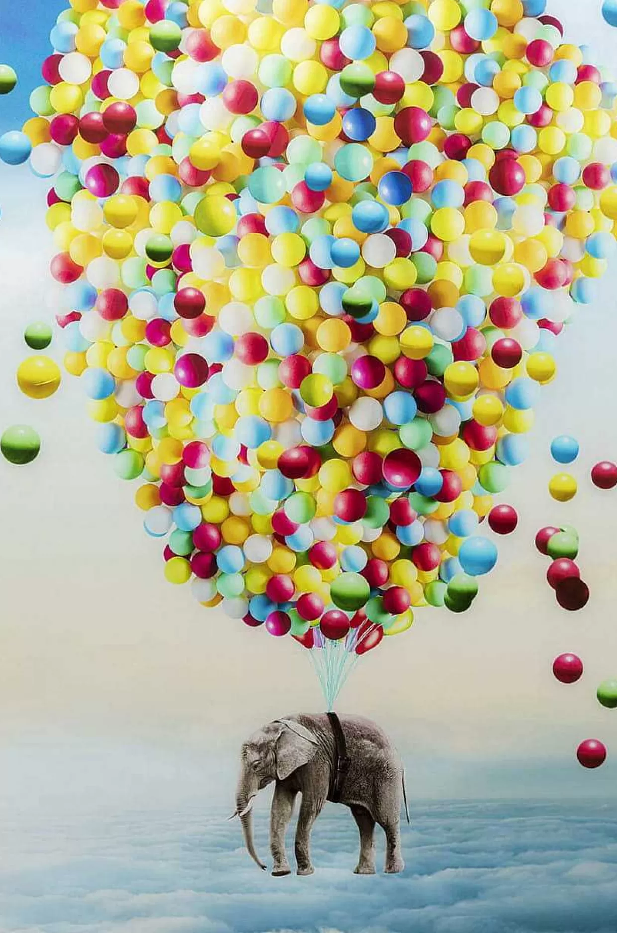 Glasbild Balloon Elephant 100X150>KARE Design Best