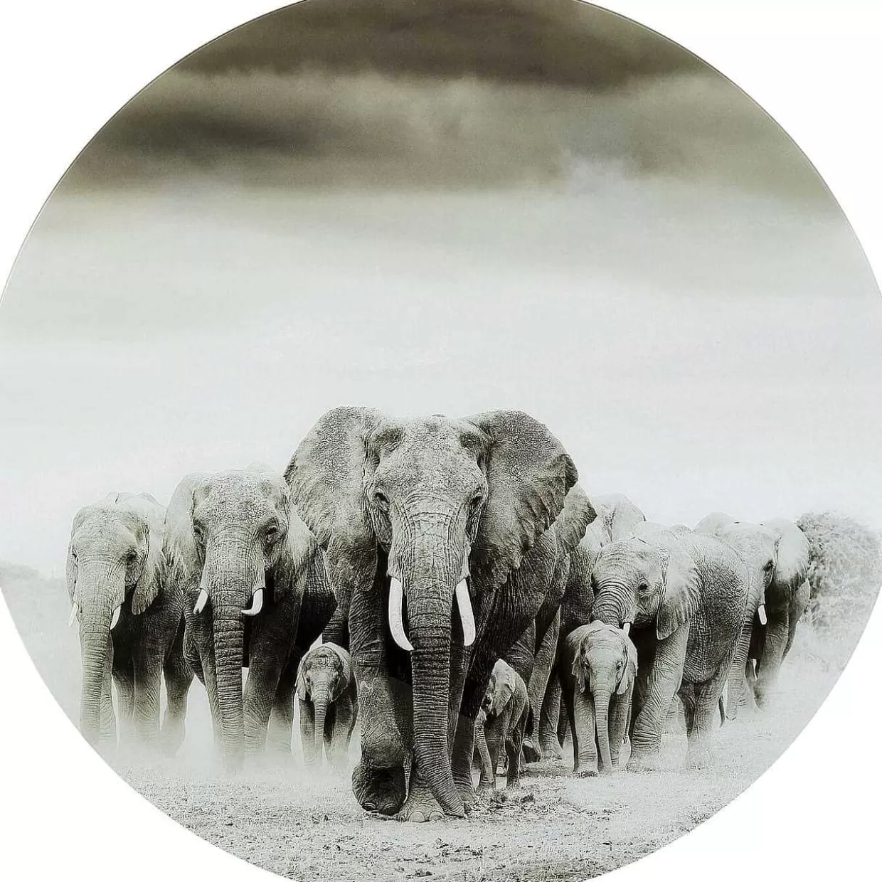 Glasbild Elephant Walk Rund 120>KARE Design Sale