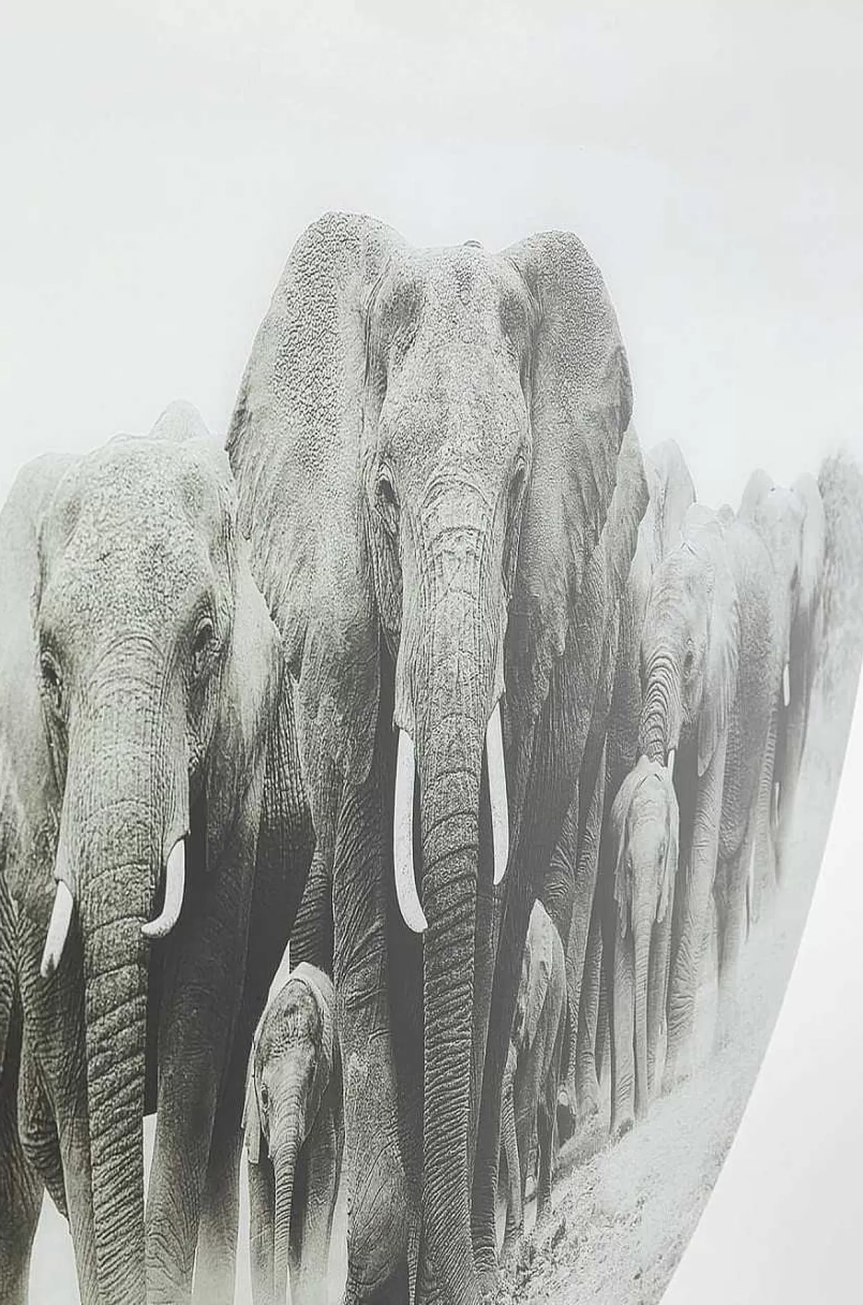 Glasbild Elephant Walk Rund 120>KARE Design Sale