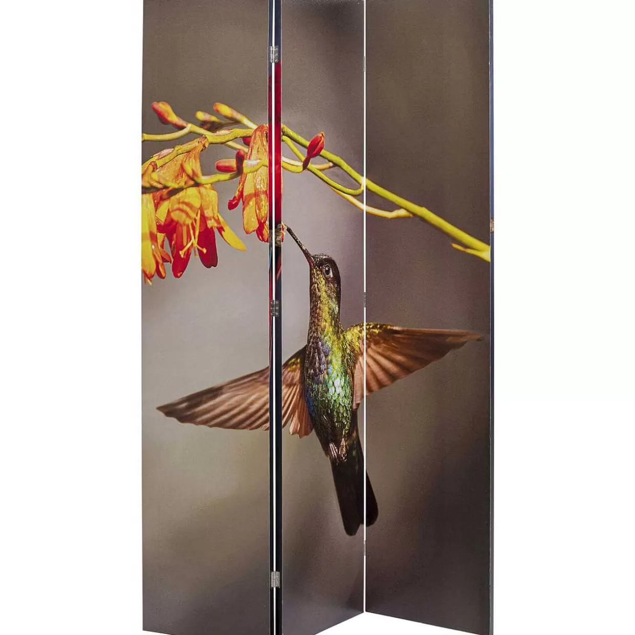 Paravent Twin Parrot Vs Cute Colibri 120X180>KARE Design Hot